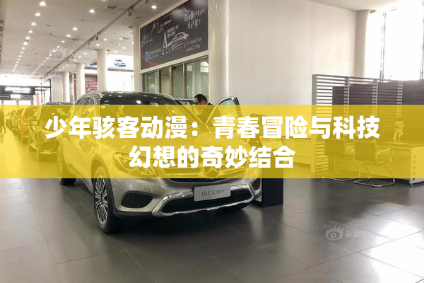 少年骇客动漫：青春冒险与科技幻想的奇妙结合