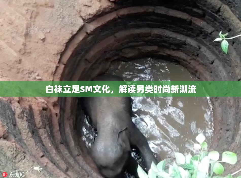 白袜立足SM文化，解读另类时尚新潮流