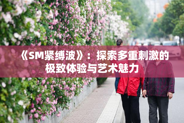 《SM紧缚波》：探索多重刺激的极致体验与艺术魅力