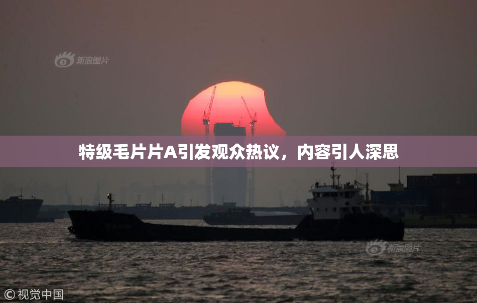 特级毛片片A引发观众热议，内容引人深思