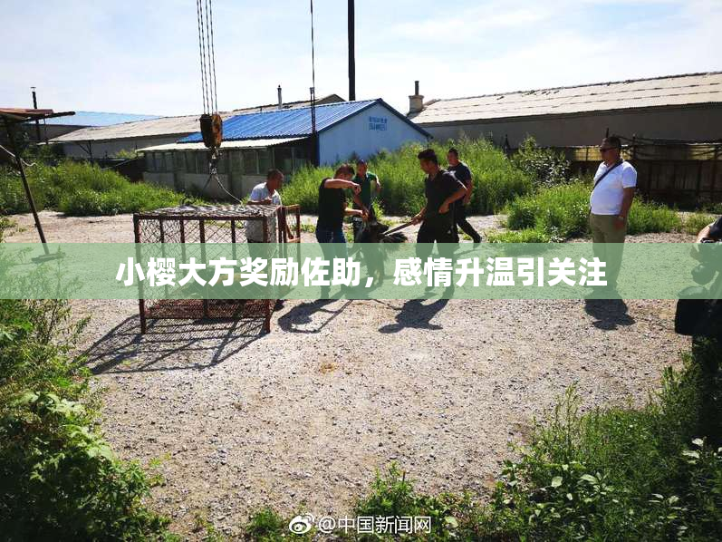 小樱大方奖励佐助，感情升温引关注