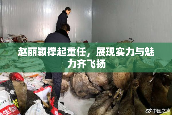 赵丽颖撑起重任，展现实力与魅力齐飞扬