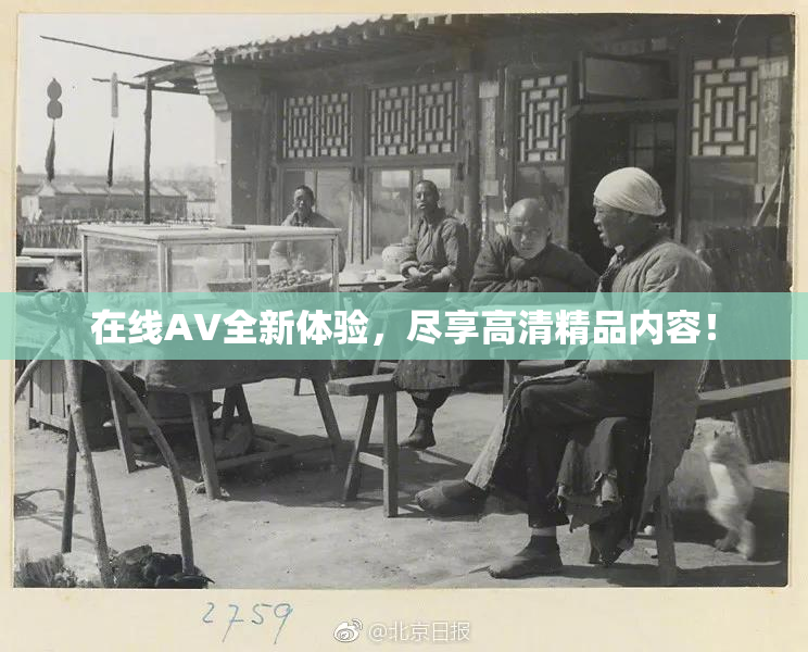 在线AV全新体验，尽享高清精品内容！