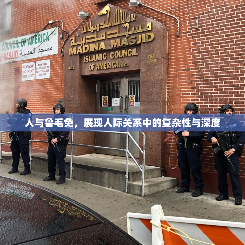 人与鲁毛免，展现人际关系中的复杂性与深度