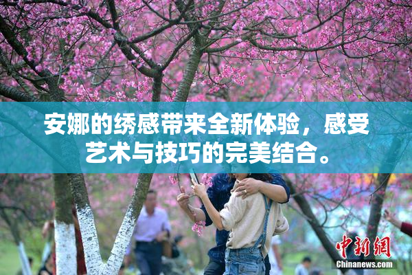 安娜的绣感带来全新体验，感受艺术与技巧的完美结合。