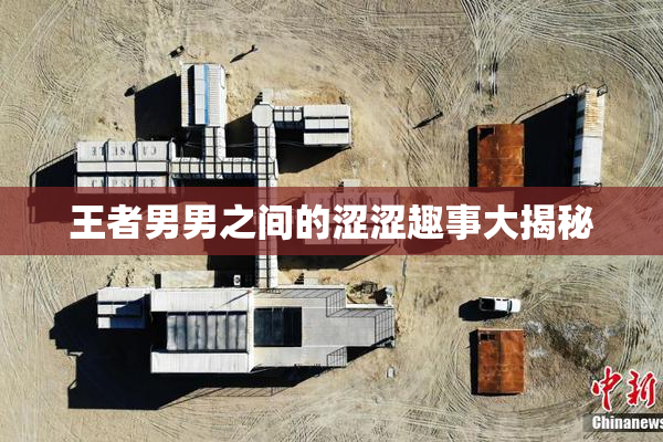 王者男男之间的涩涩趣事大揭秘