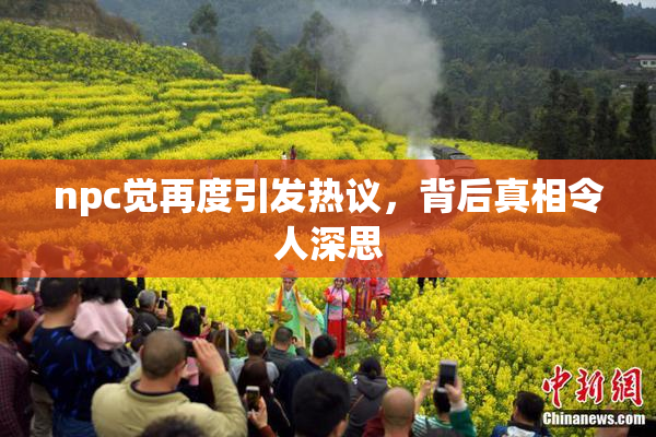 npc觉再度引发热议，背后真相令人深思