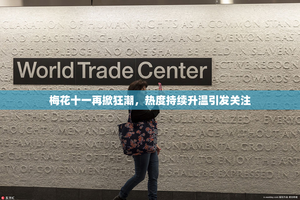 梅花十一再掀狂潮，热度持续升温引发关注