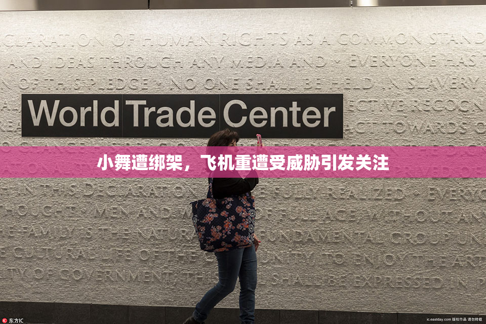 小舞遭绑架，飞机重遭受威胁引发关注