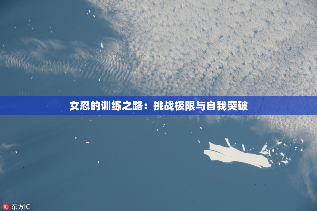 女忍的训练之路：挑战极限与自我突破