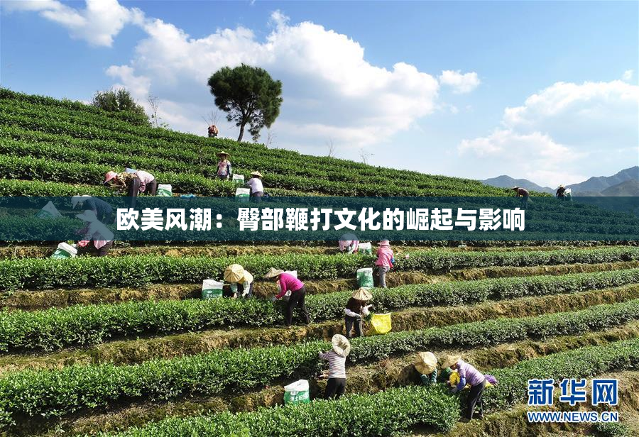 欧美风潮：臀部鞭打文化的崛起与影响