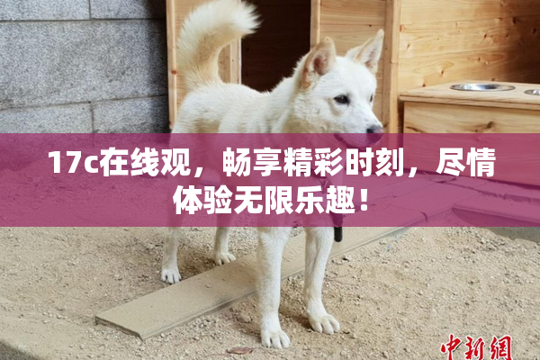 17c在线观，畅享精彩时刻，尽情体验无限乐趣！
