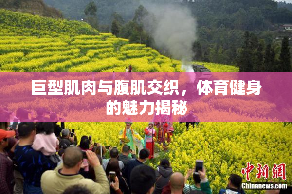 巨型肌肉与腹肌交织，体育健身的魅力揭秘