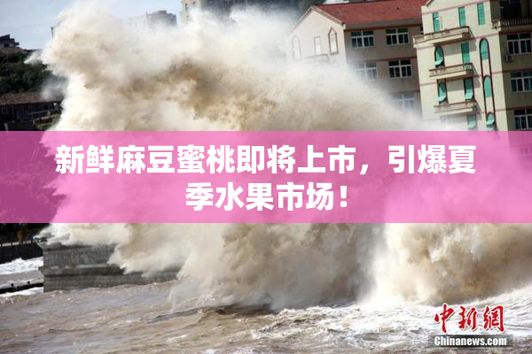 新鲜麻豆蜜桃即将上市，引爆夏季水果市场！