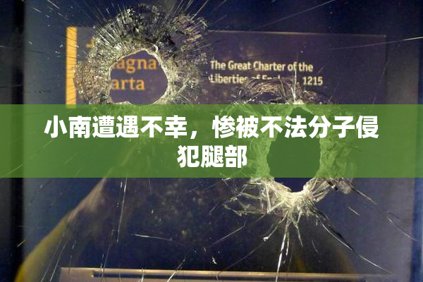 小南遭遇不幸，惨被不法分子侵犯腿部