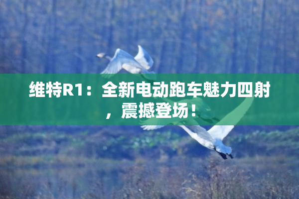 维特R1：全新电动跑车魅力四射，震撼登场！