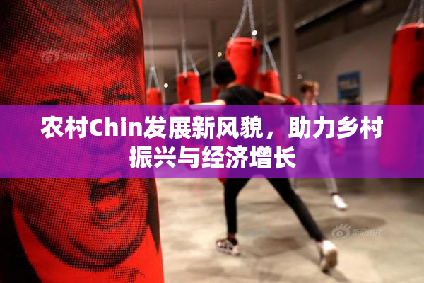 农村Chin发展新风貌，助力乡村振兴与经济增长