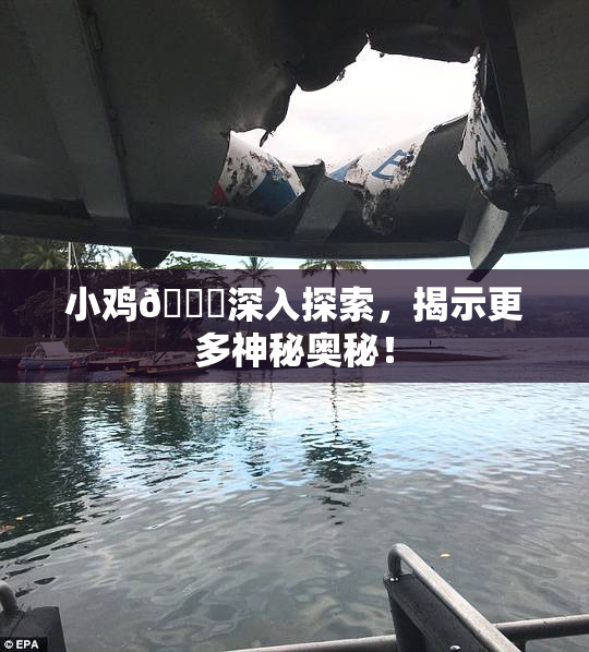 小鸡🐔深入探索，揭示更多神秘奥秘！