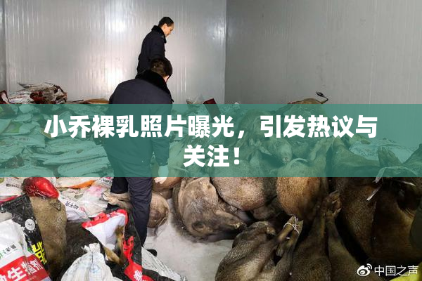 小乔裸乳照片曝光，引发热议与关注！