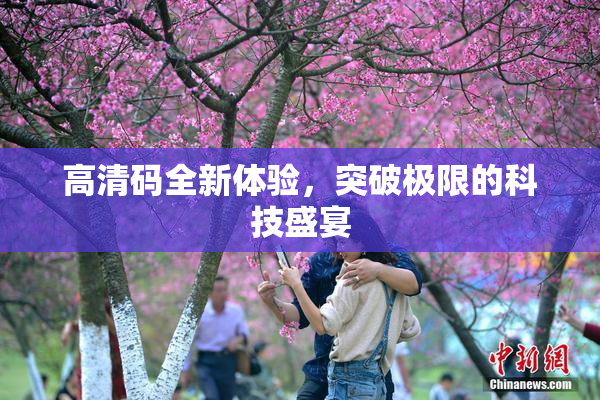 高清码全新体验，突破极限的科技盛宴