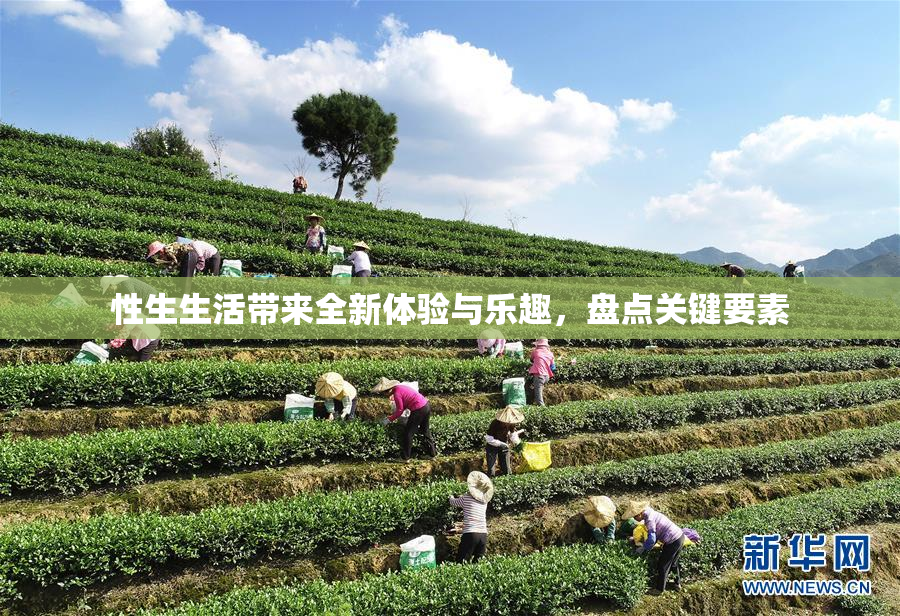 性生生活带来全新体验与乐趣，盘点关键要素