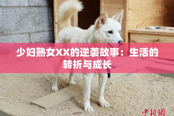少妇熟女XX的逆袭故事：生活的转折与成长
