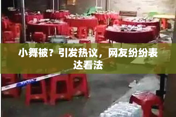 小舞被？引发热议，网友纷纷表达看法