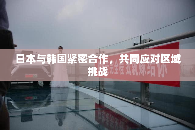 日本与韩国紧密合作，共同应对区域挑战