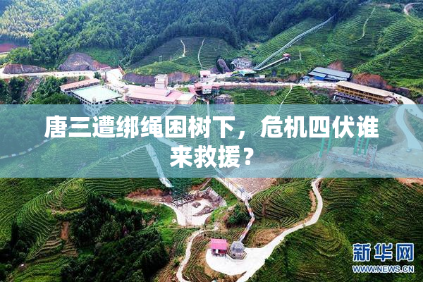 唐三遭绑绳困树下，危机四伏谁来救援？