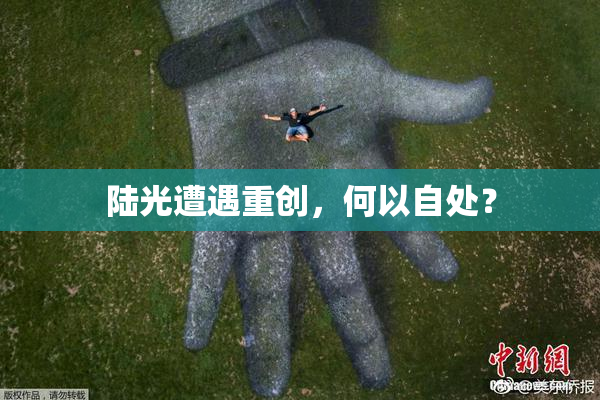 陆光遭遇重创，何以自处？