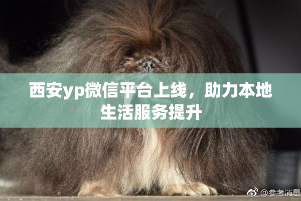 西安yp微信平台上线，助力本地生活服务提升