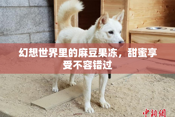 幻想世界里的麻豆果冻，甜蜜享受不容错过