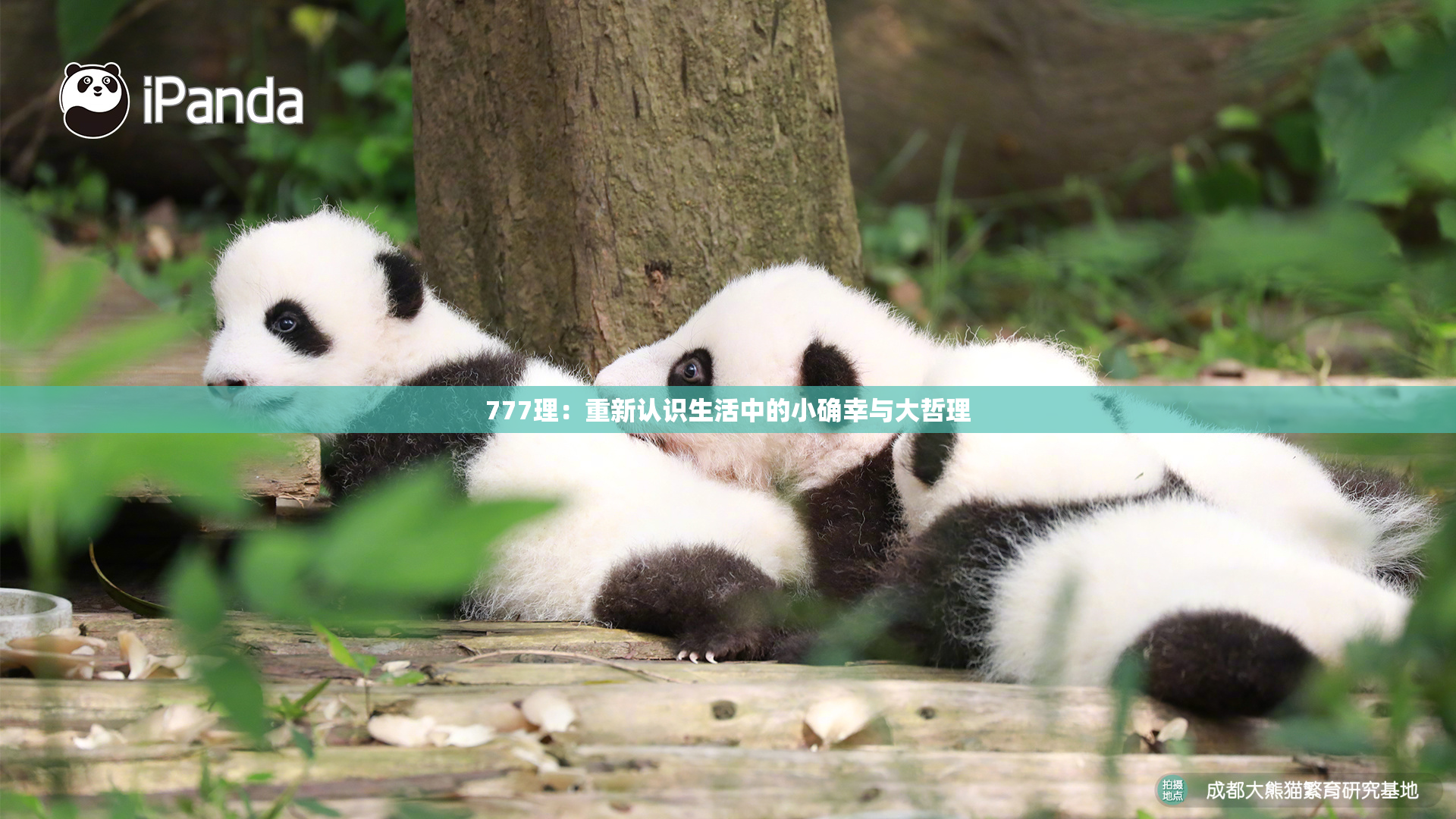 777理：重新认识生活中的小确幸与大哲理