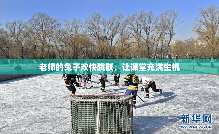 老师的兔子欢快跳跃，让课堂充满生机