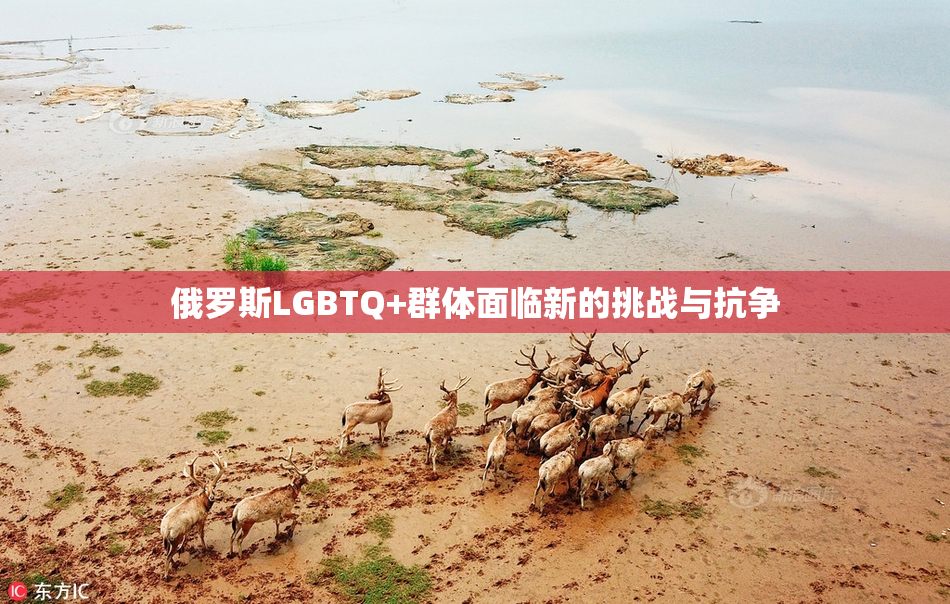 俄罗斯LGBTQ+群体面临新的挑战与抗争