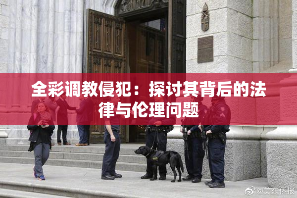 全彩调教侵犯：探讨其背后的法律与伦理问题