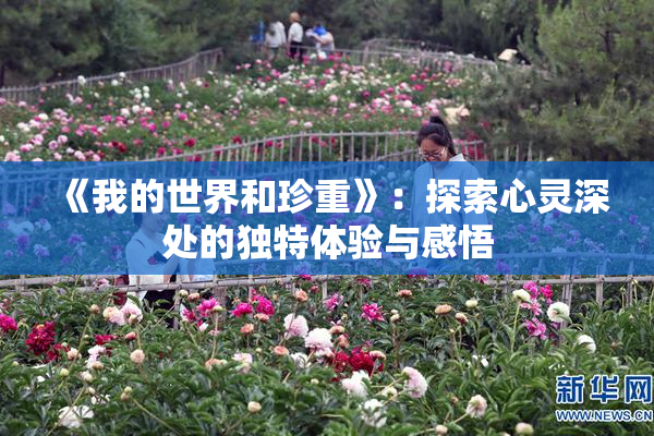 《我的世界和珍重》：探索心灵深处的独特体验与感悟
