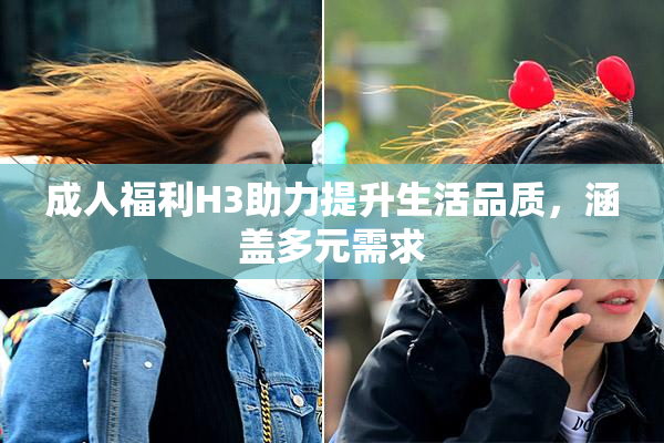 成人福利H3助力提升生活品质，涵盖多元需求