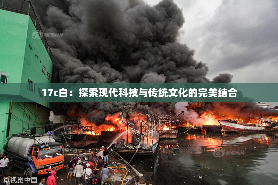 17c白：探索现代科技与传统文化的完美结合