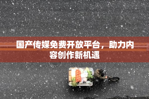 国产传媒免费开放平台，助力内容创作新机遇