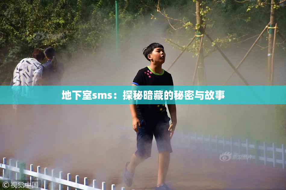 地下室sms：探秘暗藏的秘密与故事