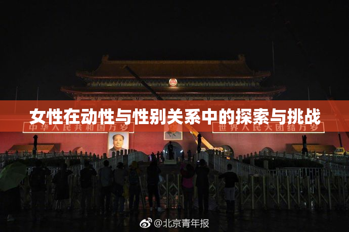 女性在动性与性别关系中的探索与挑战