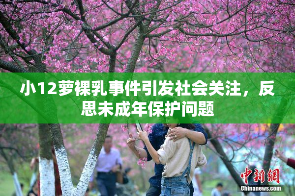 小12萝裸乳事件引发社会关注，反思未成年保护问题