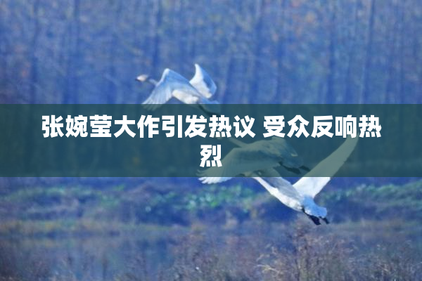 张婉莹大作引发热议 受众反响热烈