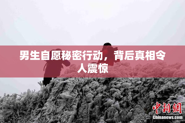男生自愿秘密行动，背后真相令人震惊