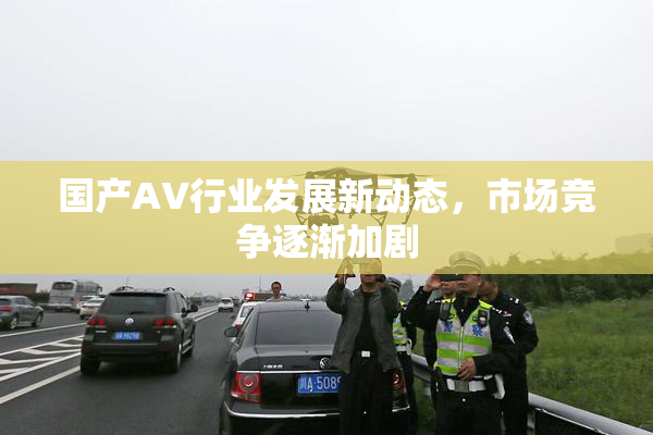 国产AV行业发展新动态，市场竞争逐渐加剧