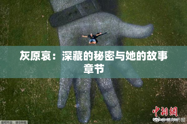 灰原哀：深藏的秘密与她的故事章节