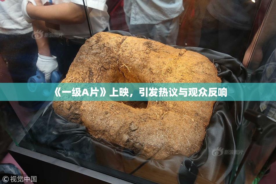 《一级A片》上映，引发热议与观众反响