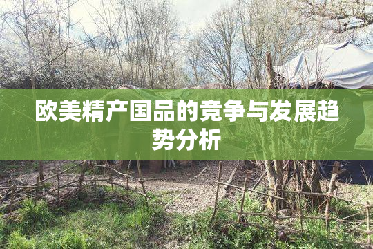 欧美精产国品的竞争与发展趋势分析