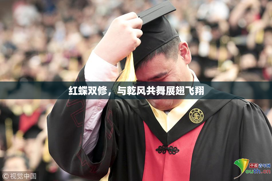 红蝶双修，与乾风共舞展翅飞翔